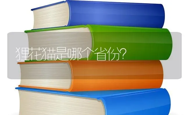 狸花猫是哪个省份？ | 动物养殖问答