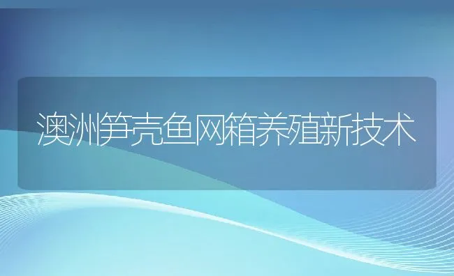 澳洲笋壳鱼网箱养殖新技术 | 动物养殖饲料