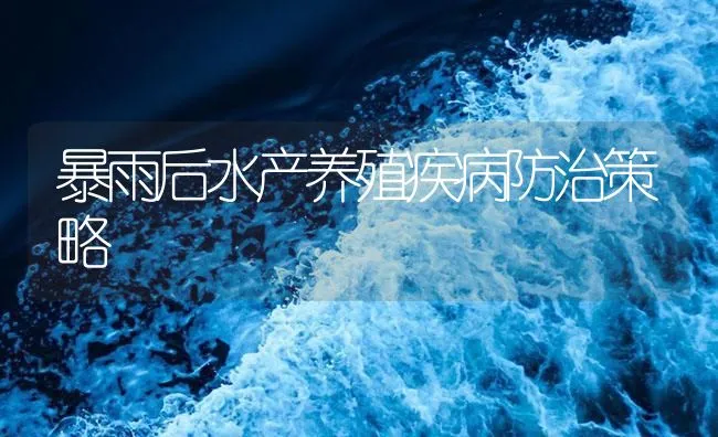 暴雨后水产养殖疾病防治策略 | 海水养殖技术