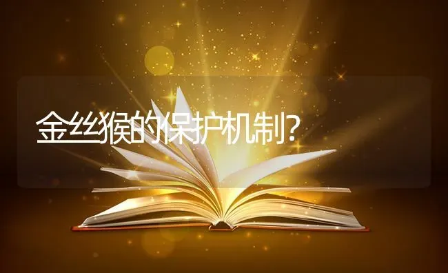 金丝猴的保护机制？ | 动物养殖问答