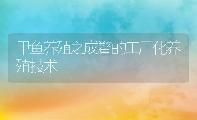 甲鱼养殖之成鳖的工厂化养殖技术 | 动物养殖学堂