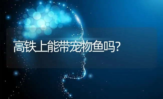 《挪威的森林》里敢死队的角色有什么作用？ | 动物养殖问答