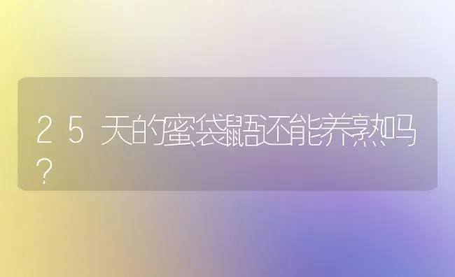 比熊报复你的五个表现？ | 动物养殖问答