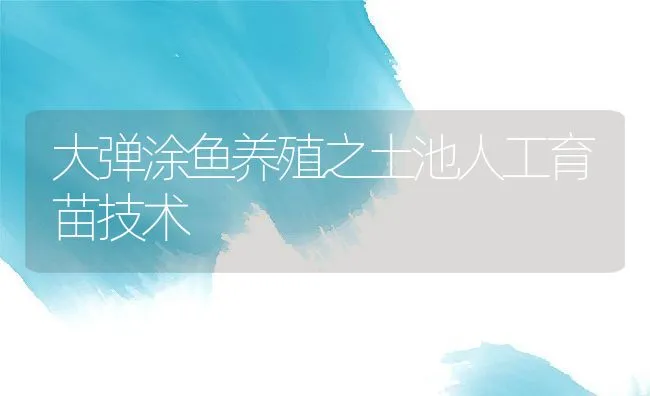 大弹涂鱼养殖之土池人工育苗技术 | 动物养殖饲料