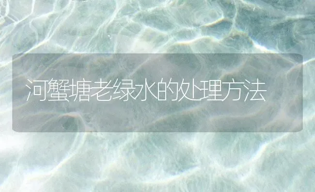 河蟹塘老绿水的处理方法 | 海水养殖技术