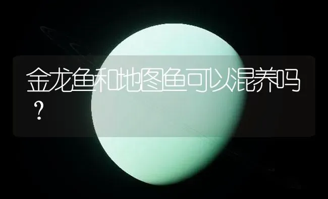 金龙鱼和地图鱼可以混养吗？ | 鱼类宠物饲养