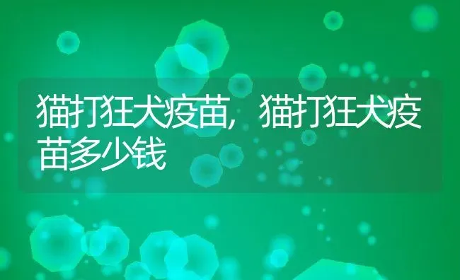 猫打狂犬疫苗,猫打狂犬疫苗多少钱 | 宠物百科知识