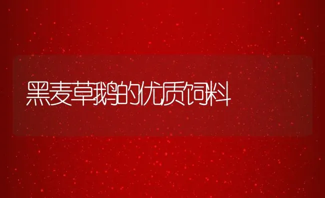 野生山瑞鳖人工驯养繁殖技术 | 海水养殖技术