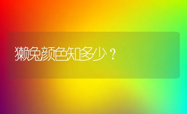 獭兔颜色知多少？ | 动物养殖饲料