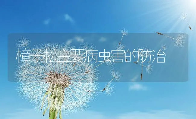 樟子松主要病虫害的防治 | 动物养殖学堂