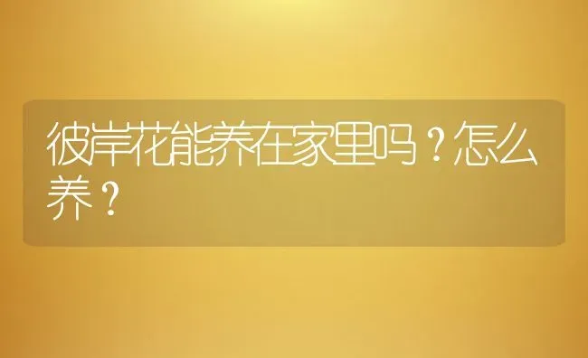 彼岸花能养在家里吗？怎么养？ | 动物养殖百科