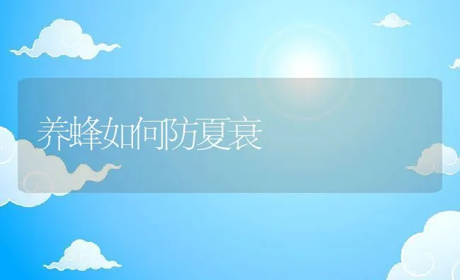 养蜂如何防夏衰 | 动物养殖学堂