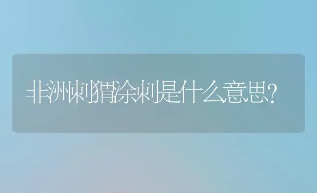 非洲刺猬涂刺是什么意思？ | 动物养殖问答