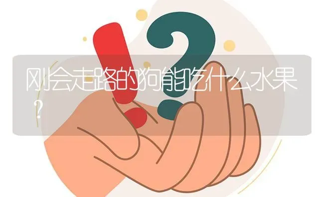 刚会走路的狗能吃什么水果？ | 动物养殖问答