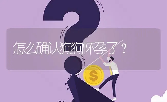 怎么确认狗狗怀孕了？ | 动物养殖问答