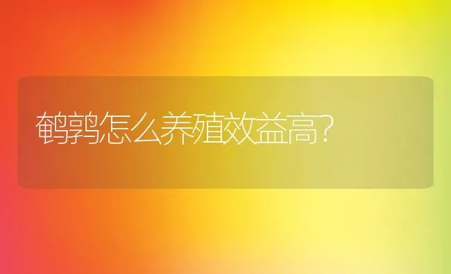 鹌鹑怎么养殖效益高？ | 动物养殖百科