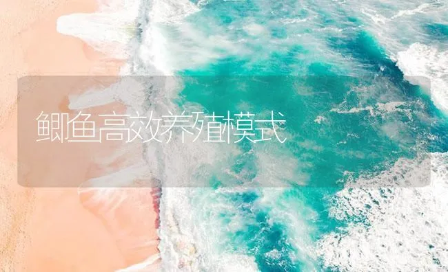 鲫鱼高效养殖模式 | 海水养殖技术