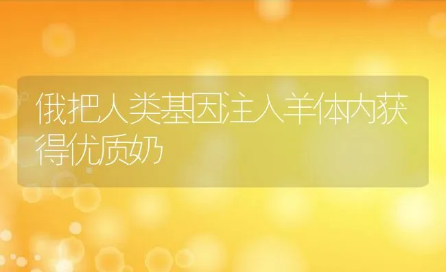 俄把人类基因注入羊体内获得优质奶 | 动物养殖饲料