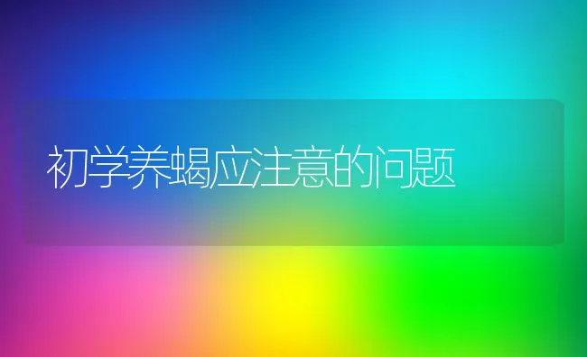 初学养蝎应注意的问题 | 动物养殖学堂