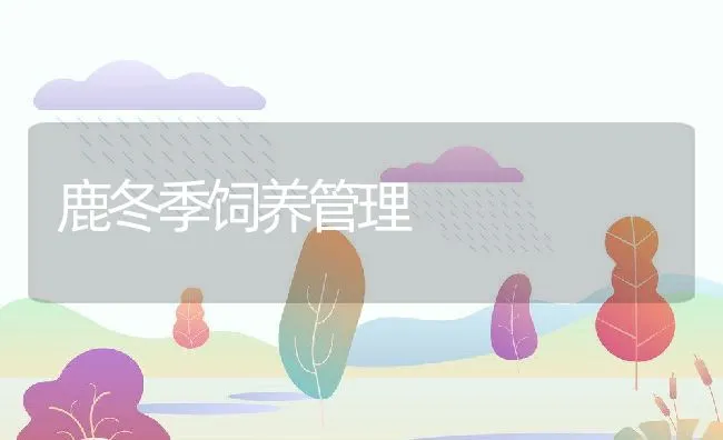 鹿冬季饲养管理 | 动物养殖学堂