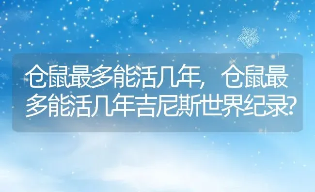 仓鼠最多能活几年,仓鼠最多能活几年吉尼斯世界纪录? | 宠物百科知识