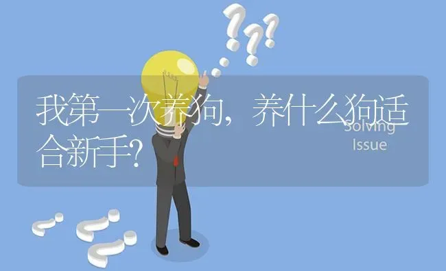 我第一次养狗,养什么狗适合新手？ | 动物养殖问答