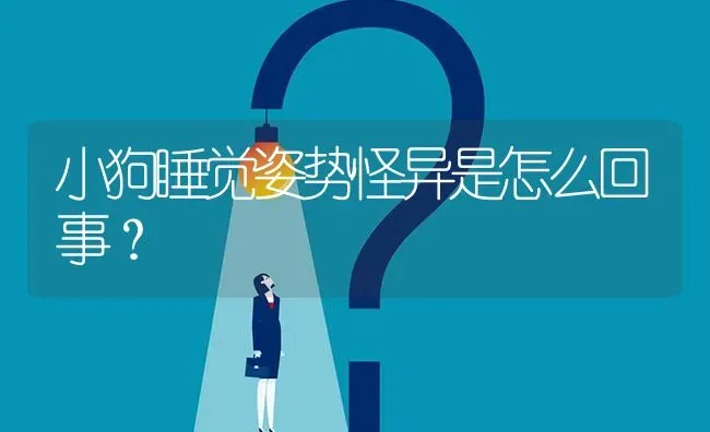 小狗睡觉姿势怪异是怎么回事？ | 动物养殖问答