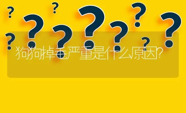 狗狗掉毛严重是什么原因？ | 动物养殖问答