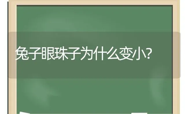 兔子眼珠子为什么变小？ | 动物养殖问答