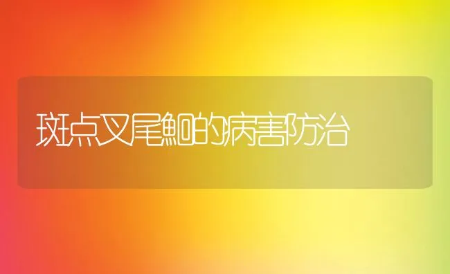 斑点叉尾鮰的病害防治 | 水产养殖知识