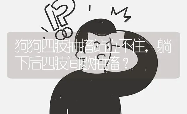 狗狗四肢抽搐站立不住，躺下后四肢间歇抽搐？ | 动物养殖问答