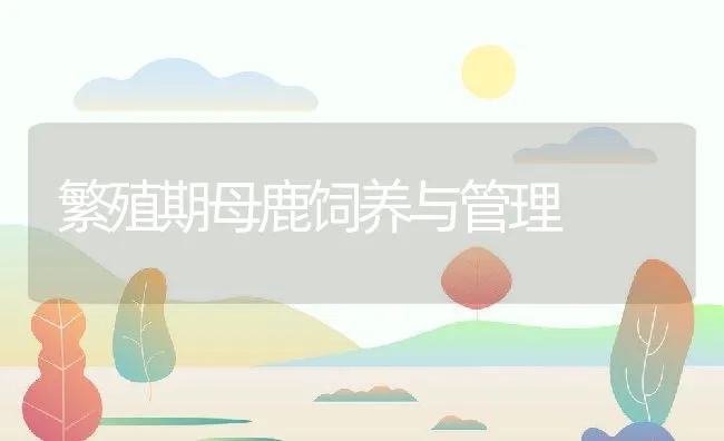 银莲花常见病虫害的病因及防治 | 海水养殖技术