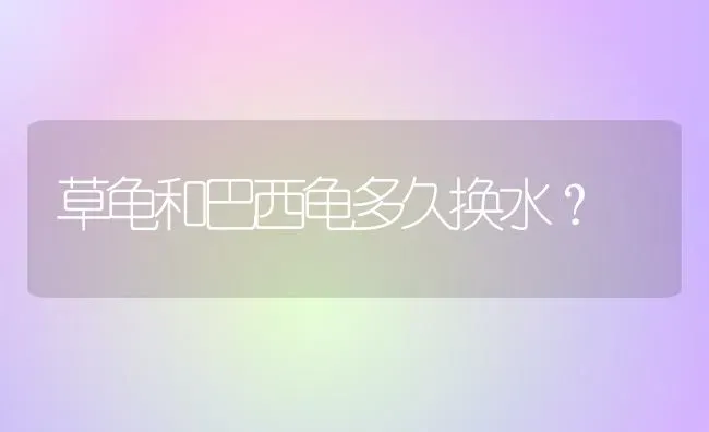 草龟和巴西龟多久换水？ | 动物养殖问答