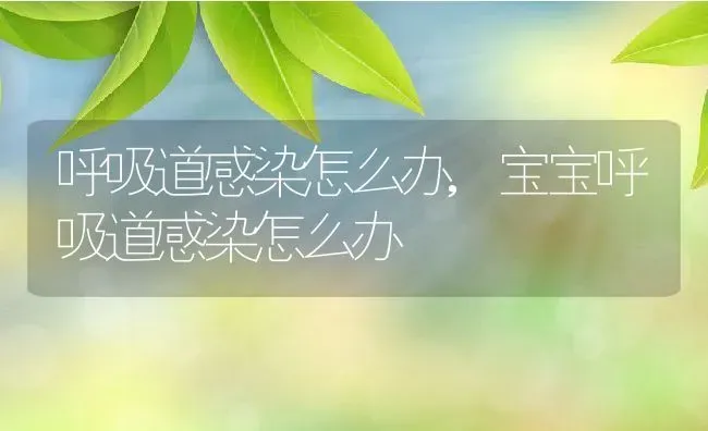 呼吸道感染怎么办,宝宝呼吸道感染怎么办 | 宠物百科知识