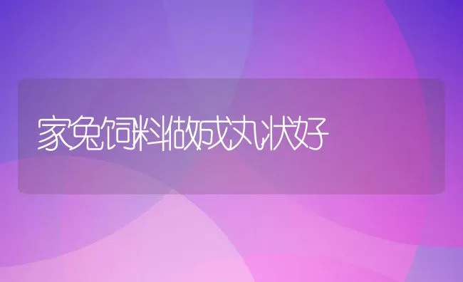 网箱鲶鱼养殖技术 | 海水养殖技术