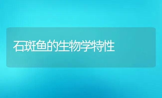 石斑鱼的生物学特性 | 动物养殖教程