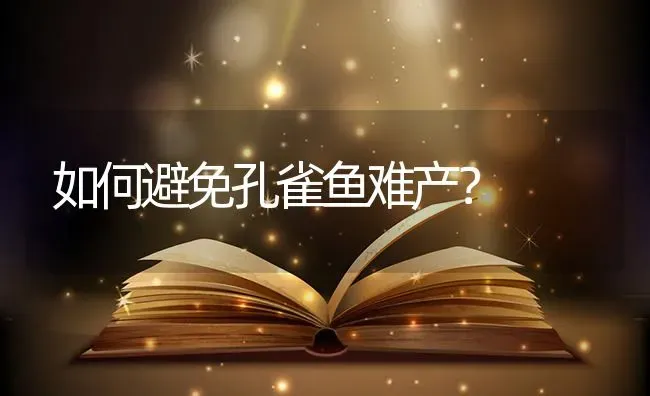 如何避免孔雀鱼难产？ | 鱼类宠物饲养