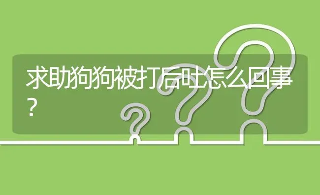 求助狗狗被打后吐怎么回事？ | 动物养殖问答