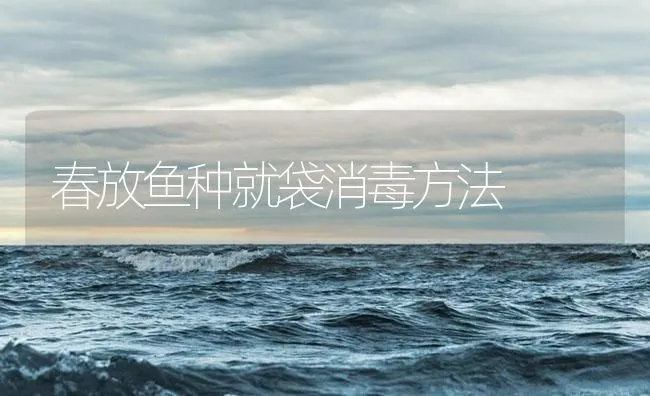春放鱼种就袋消毒方法 | 海水养殖技术