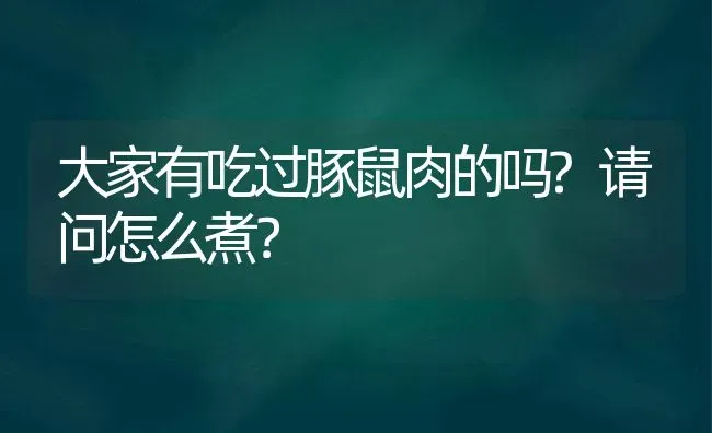 大家有吃过豚鼠肉的吗?请问怎么煮？ | 动物养殖问答