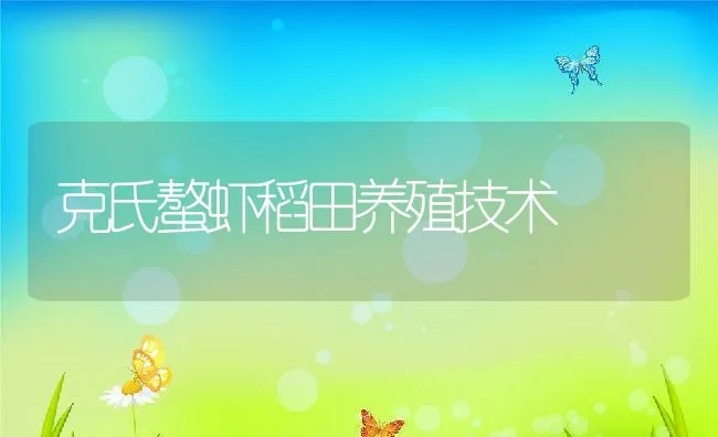 克氏螯虾稻田养殖技术 | 动物养殖饲料