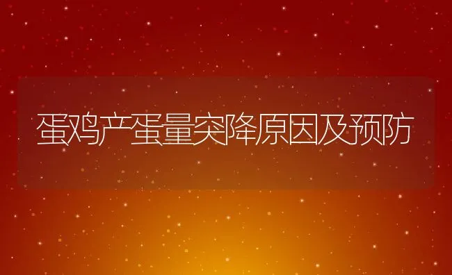 蛋鸡产蛋量突降原因及预防 | 动物养殖学堂