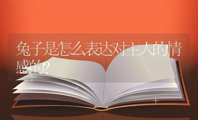 兔子是怎么表达对主人的情感的？ | 动物养殖问答