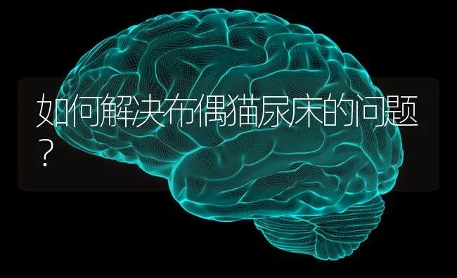 中型犬哪种比较聪明、好打理、掉毛不严重、体质好、不乱叫的？ | 动物养殖问答