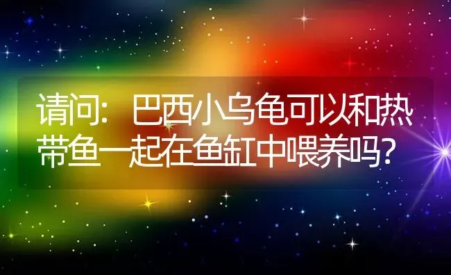 请问:巴西小乌龟可以和热带鱼一起在鱼缸中喂养吗？ | 动物养殖问答