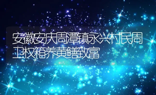 安徽安庆周潭镇永兴村民周卫权箱养黄鳝致富 | 动物养殖教程