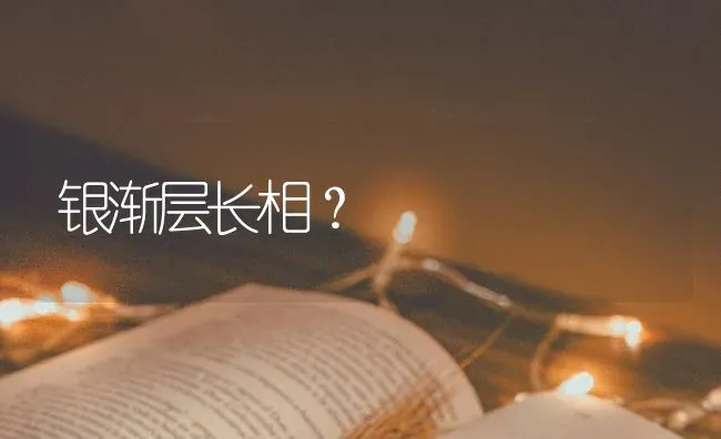 8个月的法斗什么时间喂？ | 动物养殖问答