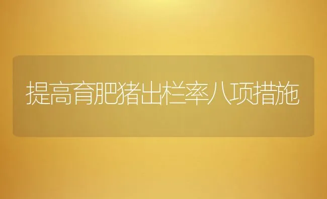 提高育肥猪出栏率八项措施 | 动物养殖饲料