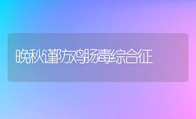 晚秋谨防鸡肠毒综合征 | 动物养殖学堂