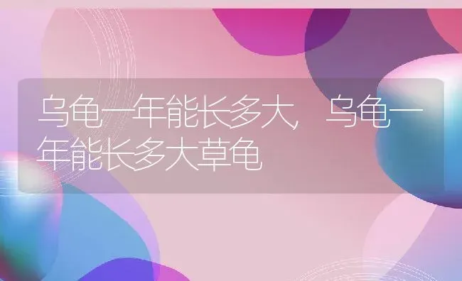 乌龟一年能长多大,乌龟一年能长多大草龟 | 宠物百科知识